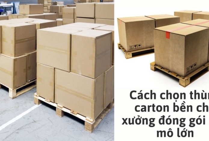 Cách chọn thùng carton bền cho xưởng đóng gói quy mô lớn