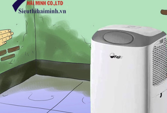 Tầm quan trọng của máy hút ẩm trong đời sống