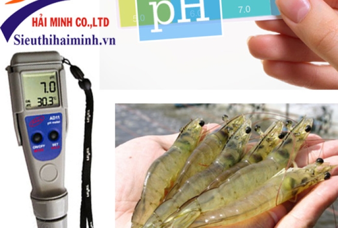 Kiểm Soát Và Đo Nồng Độ Ph Trong Ao Nuôi Tôm