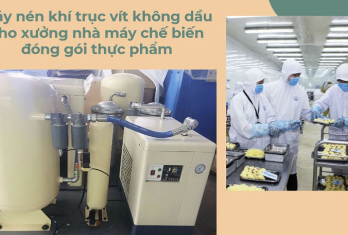 Máy nén khí trục vít không dầu cho xưởng nhà máy chế biến đóng gói thực phẩm
