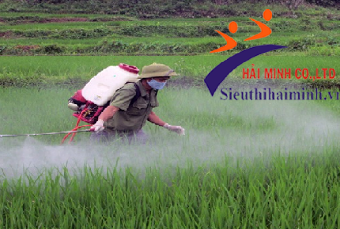 Hải Minh hướng dẫn bà con sử dụng máy phun thuốc sâu an toàn