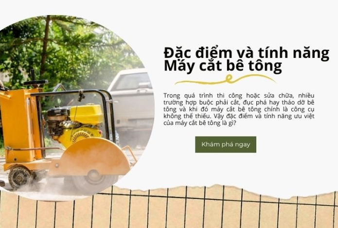 Đặc điểm và tính năng 