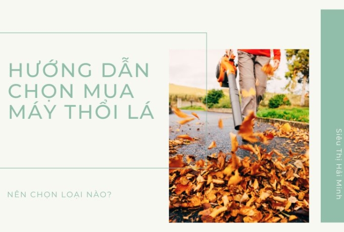 Hướng dẫn chọn mua máy thổi lá phù hợp