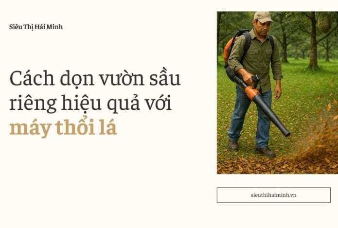 Cách dọn vườn sầu riêng hiệu quả với máy thổi lá