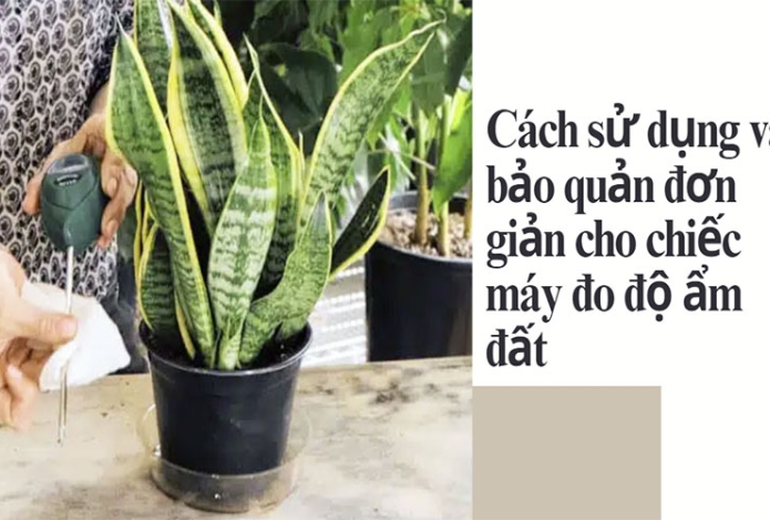 Cách sử dụng và bảo quản đơn giản cho chiếc máy đo độ ẩm đất