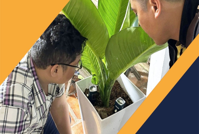 Hướng dẫn đọc thông số máy đo độ ẩm đất