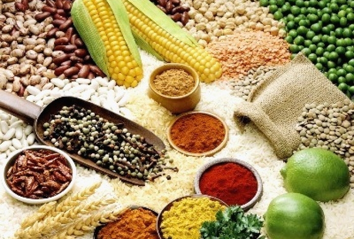 ỨNG DỤNG QUAN TRỌNG CỦA MÁY ĐO ĐỘ ẨM NÔNG SẢN