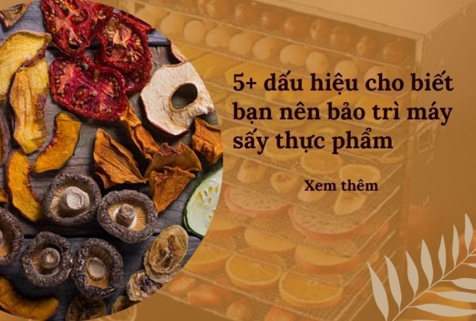 5+ dấu hiệu cho biết bạn nên bảo trì máy sấy thực phẩm