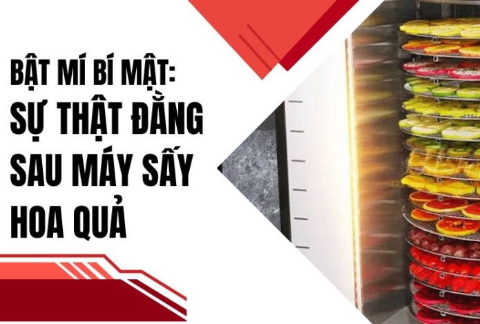 Bật mí bí mật: sự thật đằng sau máy sấy hoa quả