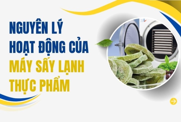 Nguyên lý hoạt động của máy sấy lạnh thực phẩm