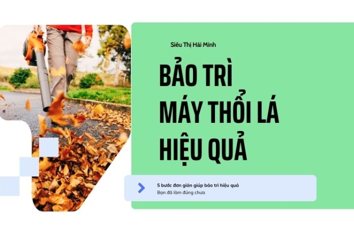 5 bước bảo trì máy thổi lá hiệu quả – Bạn đã làm đúng chưa