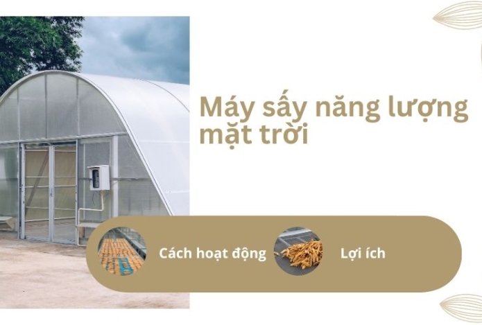 Cách hoạt động và lợi ích của máy sấy năng lượng mặt trời