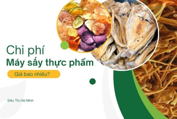 Chi phí đầu tư máy sấy thực phẩm khoảng bao nhiêu?