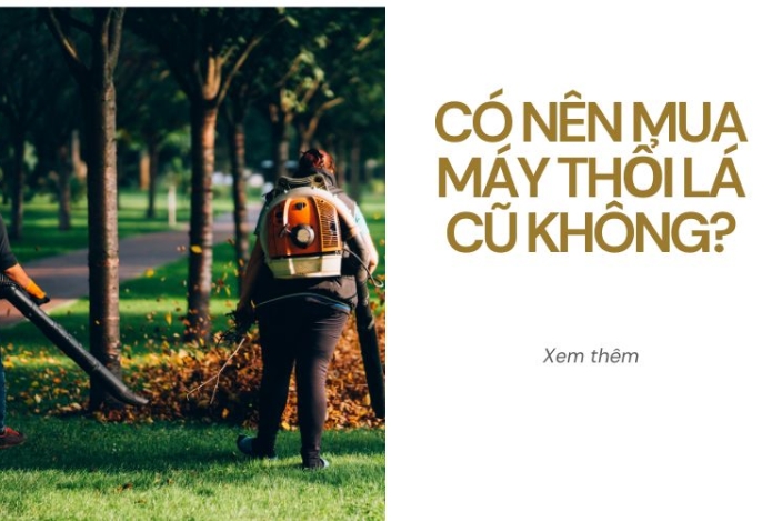 Có nên mua máy thổi lá cũ không?
