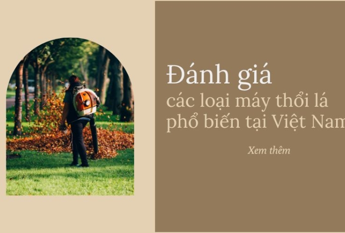 Đánh giá chi tiết các loại máy thổi lá phổ biến tại Việt Nam