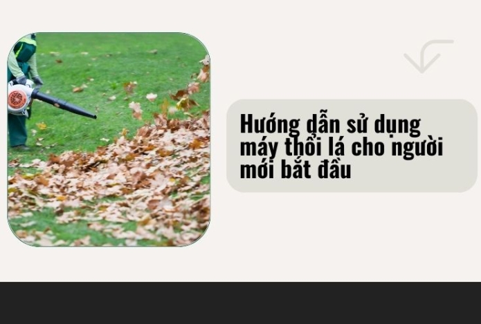 Hướng dẫn sử dụng máy thổi lá cho người mới bắt đầu
