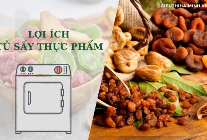Lợi ích của tủ sấy thực phẩm không phải ai cũng biết!