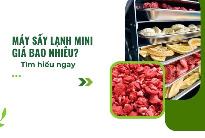 Máy sấy lạnh mini giá bao nhiêu? Tìm hiểu ngay