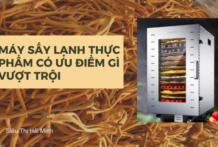 Máy sấy lạnh thực phẩm có ưu điểm gì vượt trội
