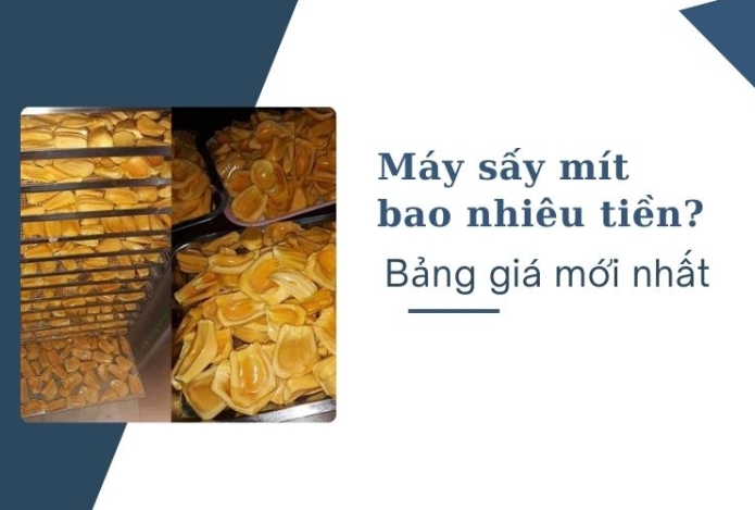 Máy sấy mít bao nhiêu tiền? Bảng giá mới nhất