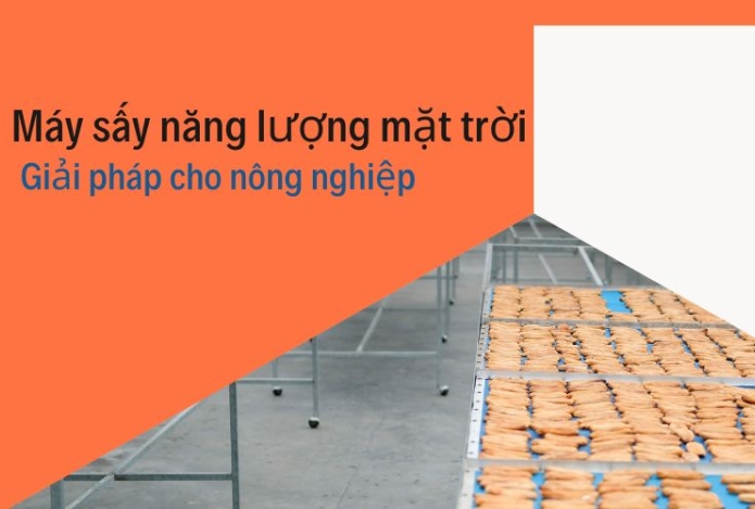 Máy sấy năng lượng mặt trời: Giải pháp cho nông nghiệp