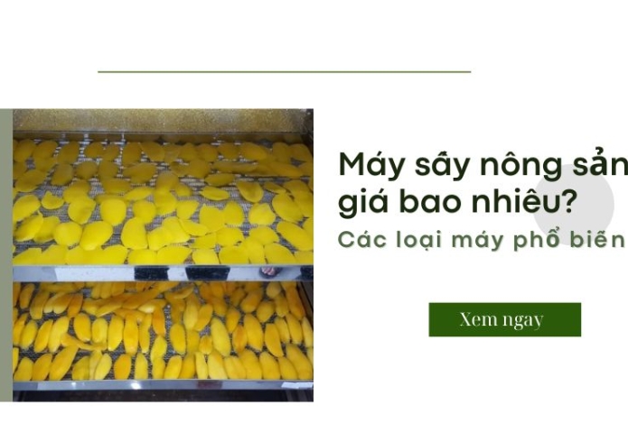 Máy sấy nông sản giá bao nhiêu? Các loại máy phổ biến