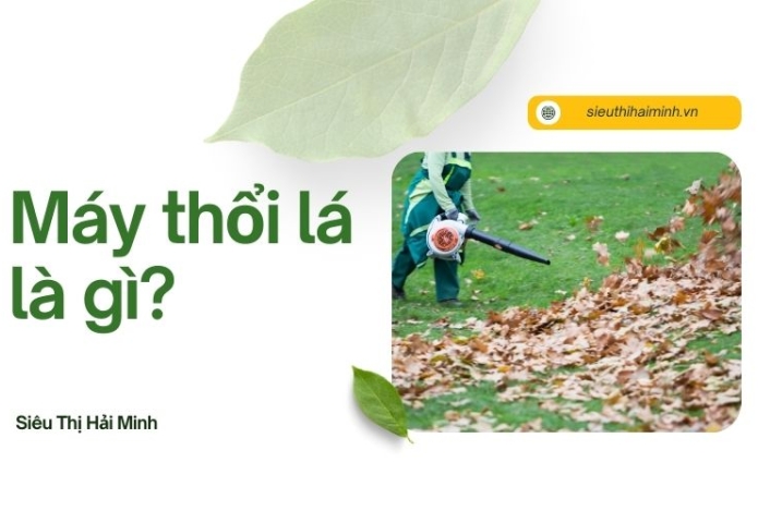 Máy thổi lá là gì? Lợi ích và tính năng mới nhất