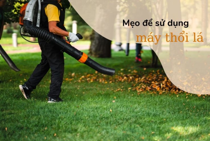 Mẹo để sử dụng máy thổi lá hiệu quả nhất