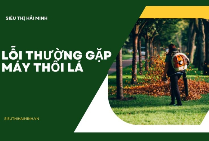 Những lỗi thường gặp khi dùng máy thổi lá