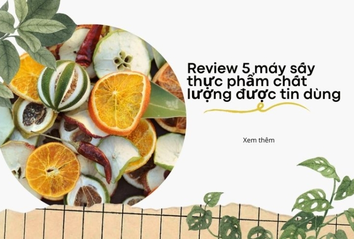 Review 5 máy sấy thực phẩm chất lượng được tin dùng