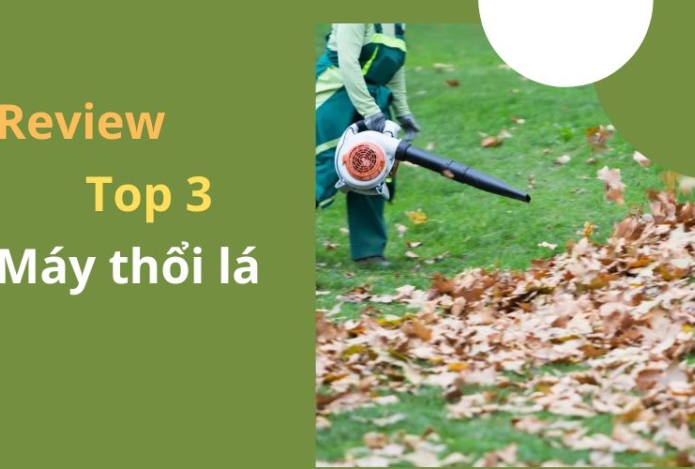 Review top 3 Máy thổi lá tốt nhất trên thị trường