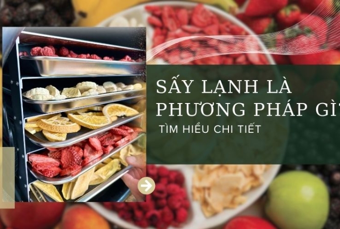 Sấy lạnh là phương pháp gì? Tìm hiểu chi tiết