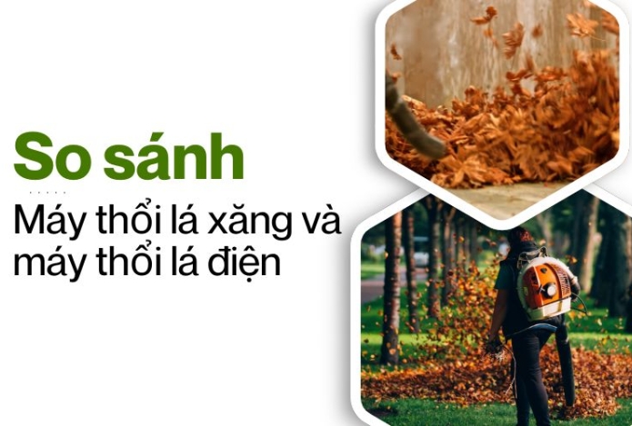 So sánh máy thổi lá xăng và máy thổi lá điện: Nên chọn loại nào
