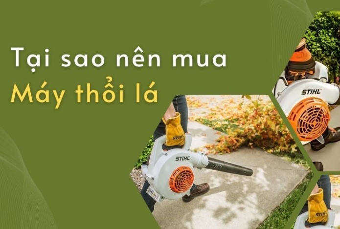 Tại sao nên mua máy thổi lá cho vườn nhà bạn