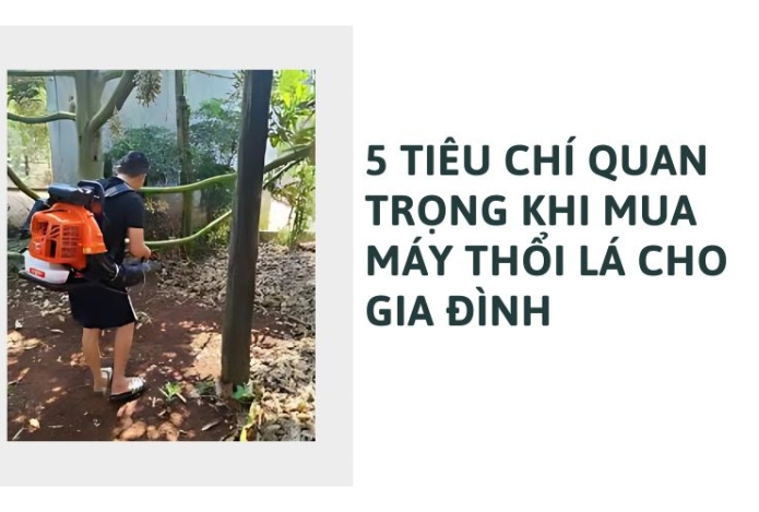 5 Tiêu chí quan trọng khi mua máy thổi lá cho gia đình
