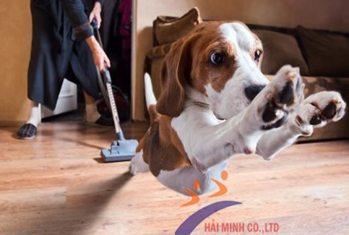 Hướng Dẫn Sử Dụng Máy Hút Bụi Được Bền Lâu, Đảm Bảo Công Suất