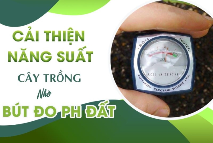Cải Thiện Năng Suất Cây Trồng Nhờ Bút Đo pH Đất