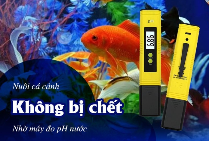 Nuôi Cá Cảnh Không Bị Chết Khi Biết Đến Máy Đo pH Nước