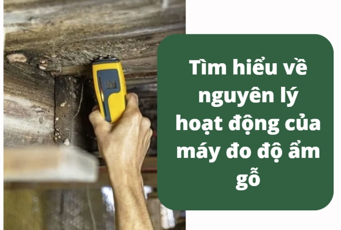 Tìm hiểu về nguyên lý hoạt động của máy đo độ ẩm gỗ dùng kim