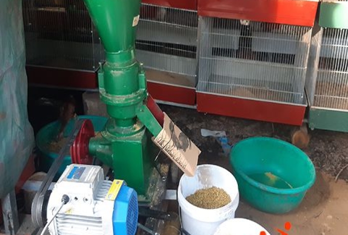 [Bình Thạnh] Lắp đặt bàn giao nhanh con máy ép cám viên năng suất cao HMV01