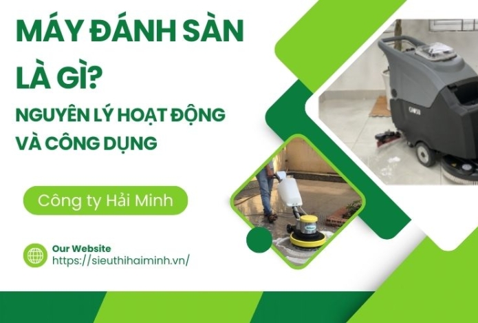 Máy Đánh Sàn Là Gì? Nguyên Lý Hoạt Động Và Công Dụng