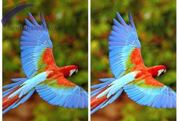 [Đánh Giá] Chi Tiết Máy Chiếu Optoma PS3166