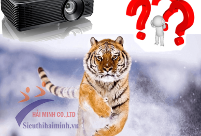 Nguyên Nhân Máy Chiếu Không Lên Đèn Và Cách Khắc Phục
