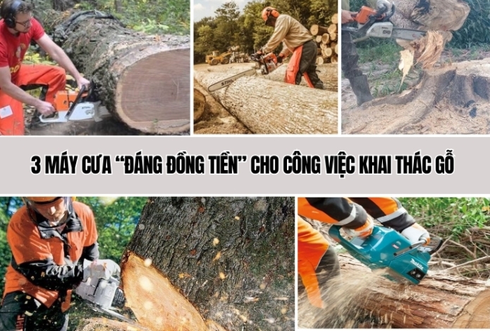 3 máy cưa “đáng đồng tiền” cho công việc khai thác gỗ