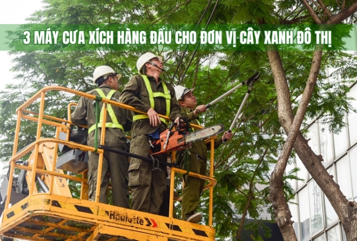 3 máy cưa xích hàng đầu cho đơn vị cây xanh đô thị