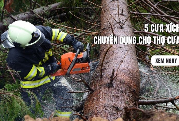 5 cưa xích chuyên dụng cho thợ cưa