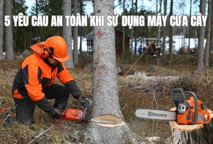5 yêu cầu an toàn khi sử dụng máy cưa cây