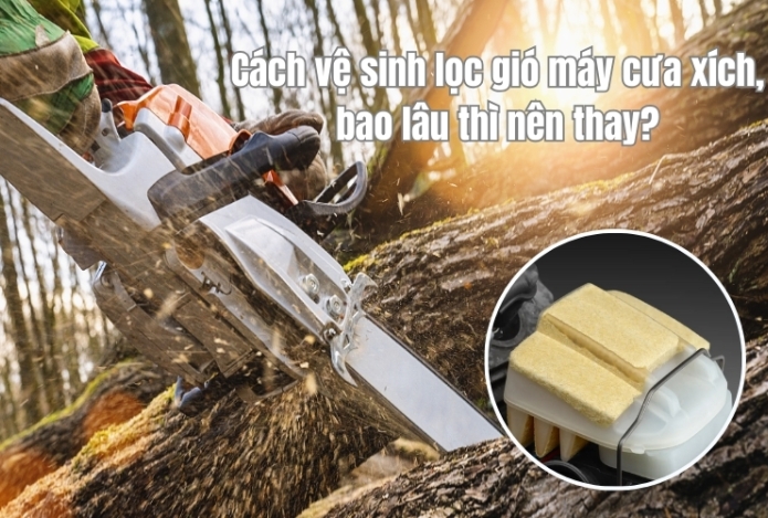 Cách vệ sinh lọc gió máy cưa xích, bao lâu thì nên thay