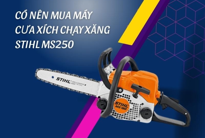 Có Nên Mua Máy Cưa Xích Chạy Xăng Stihl MS250? Mua Ở Đâu?
