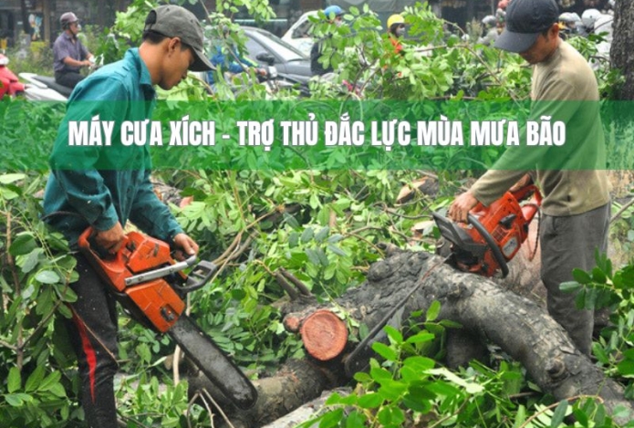 Máy cưa xích – trợ thủ đắc lực mùa mưa bão